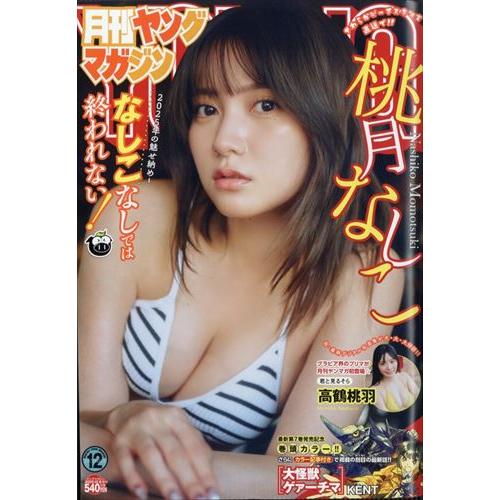月刊ヤングマガジン　2025年12月号 【巻頭グラビア】桃月なしこ