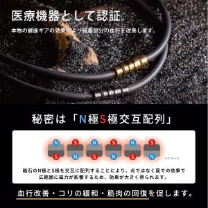 Colantotte コラントッテ クレスト ...の詳細画像2