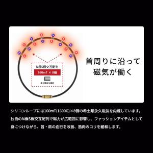 Colantotte コラントッテ クレスト ...の詳細画像3