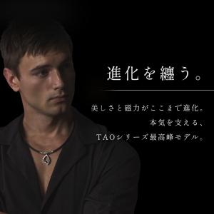 Colantotte コラントッテ 磁気ネック...の詳細画像2