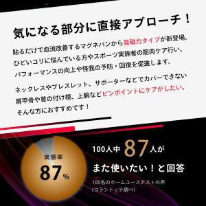 コラントッテ NS マグネバン 160X2 (...の詳細画像1
