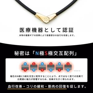 コラントッテ ネックレス ALT Colant...の詳細画像2