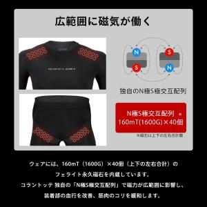 2点セット Colantotte コラントッテ...の詳細画像5