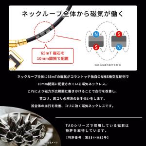 Colantotte コラントッテ TAO ネ...の詳細画像4