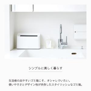 ideaco イデアコ ポリ袋が見えない薄型ゴ...の詳細画像3