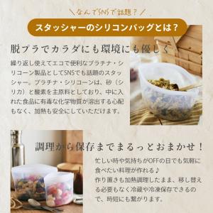 stasher スタッシャー シリコーンバッグ...の詳細画像3