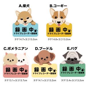 ドライブレコーダー搭載ステッカー 犬デザイン　録画中　ドライブレコーダー搭載 　5種類｜in8store