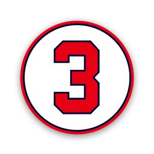 【T0093】プロ野球背番号ステッカー 広島東洋カープ風 セ・リーグ 球団 鯉 推し活 応援グッズ 壁にやさしい再剥離シール 防水・耐熱・耐水