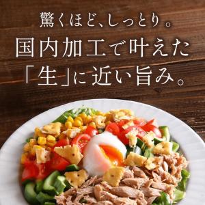 いなば 国産 ツナ缶 油漬け 70g 24缶 ...の詳細画像3