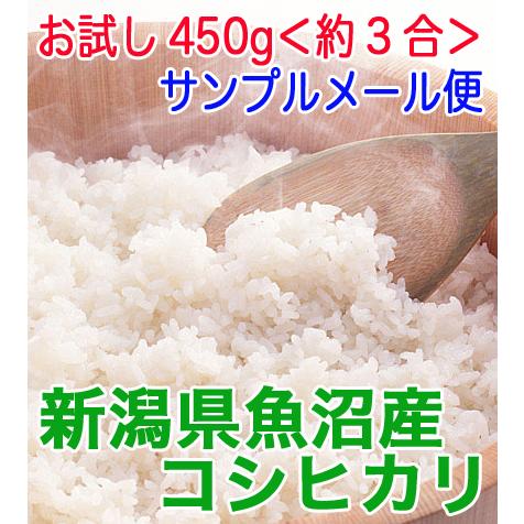 新潟県魚沼産こしひかり　令和５年産　　5年産　お試し450g 送料無料 新潟県魚沼産こしひかり