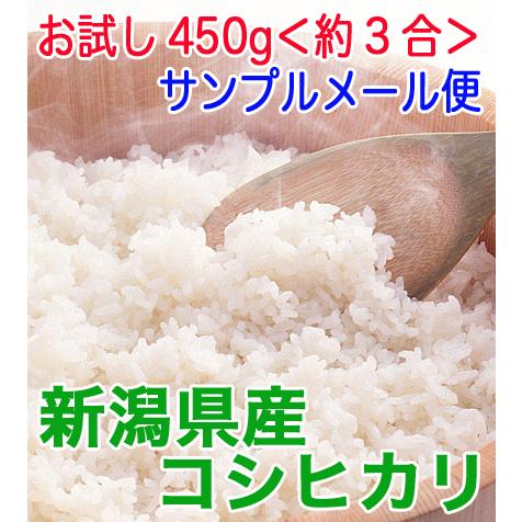 新潟県産こしひかり　令和５年産　　5年産　お試し450g 送料無料　新潟県産こしひかり