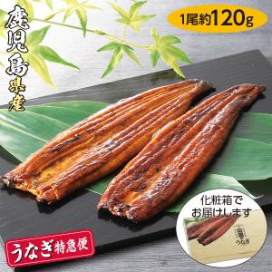 お中元 2026 うなぎ 鰻 土用の丑 山田水産 鹿児島県産山田のうなぎ長焼セット（化粧箱入） 2尾 ギフト いなげや イナゲヤお中元 御中元  夏ギフト 人気 高級