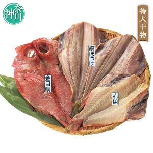 お中元 2025 ギフト 中元 干物 ひもの 魚 山安 小田原山安 大ぶり干物ギフト イナゲヤお中元 御中元 いなげや 夏ギフト 人気 高級 お取り寄せ｜inageya-net