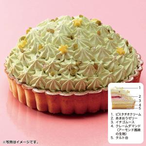 ピスタチオクリスマスケーキの商品一覧 通販 Yahoo ショッピング