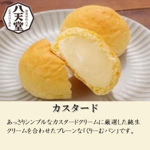 ギフト クリームパン スイーツ 八天堂 プレミ...の詳細画像2