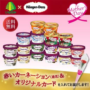 遅れてごめんね 母の日 2024 ハーゲンダッツ 堪能セット ギフト プレゼント 送料無料 アイスクリーム メッセージカード｜inageya-net