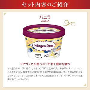 ギフト アイスクリーム 洋菓子 ハーゲンダッツ...の詳細画像4