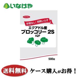 送料無料 冷凍食品 野菜 富士通商 自然解凍ブロッコリーSS（エクアドル産） 500g×20袋 ケース 業務用｜inageya-net