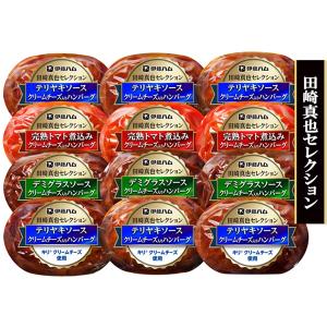 丸大食品 お中元 御中元 2026 惣菜 肉料理 ギフト セット ハンバーグ 3