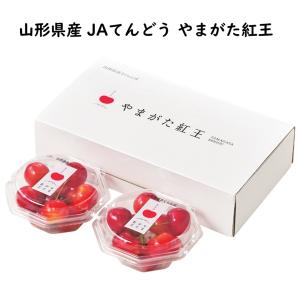 冷凍食品 パスタ 麺 ニップン よくばりプレート 海老と野菜のグラタン＆牛挽肉ボロネーゼ 340g×12袋 ケース 業務用