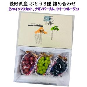 冷凍食品 パスタ 麺 日清フーズ マ マー大盛りスパゲティ カルボナーラ 360g×14袋 ケース 業務用
