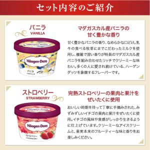 お中元 2026 アイスクリーム 食べ比べ ハ...の詳細画像2