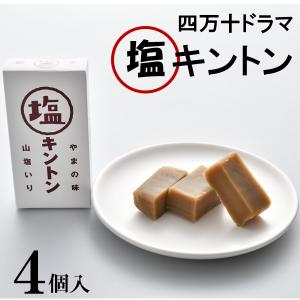 ギフト 和菓子 洋菓子 四万十ドラマ 塩キントン プレゼント お取り寄せ 高級 人気｜inageya-net