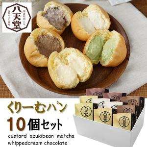 ギフト スイーツ 洋菓子 八天堂 プレミアムフローズンくりーむパン詰合せ 10個セット プレゼント お取り寄せ 高級 人気｜いなげやYahoo!店