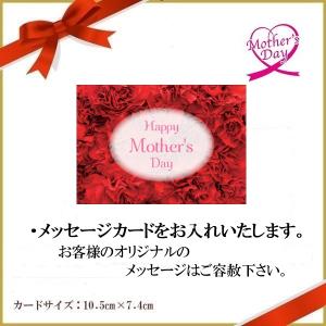 母の日 ギフト 鉢植え 花 デンドロビウム『フ...の詳細画像1