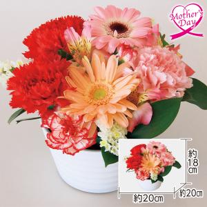 母の日 ギフト ガーベラ アレンジメント 花 アレンジメント『ガーベラ』 いなげや プレゼント 2026 70代 60代 メッセージカード 高級 人気