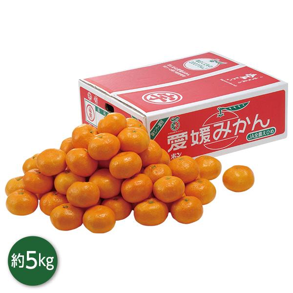 お歳暮 2025 ギフト 歳暮 フルーツ みかん 愛媛県産 うわの赤箱みかん イナゲヤお歳暮 御歳暮...