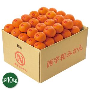 みかん お歳暮 2025 ギフト 歳暮 フルーツ みかん 愛媛県産 真穴みかん（風の