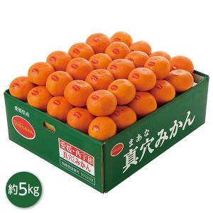 お歳暮 2025 ギフト 歳暮 フルーツ みかん 愛媛県産 真穴みかん（ひな