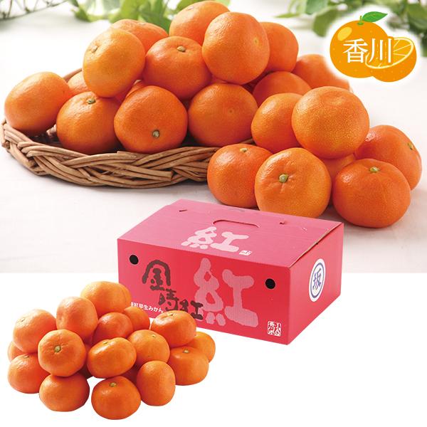 お歳暮 2025 ギフト 歳暮 フルーツ みかん 香川県産 金時紅みかん イナゲヤお歳暮 御歳暮 い...