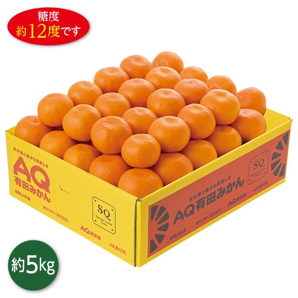 お歳暮 2025 ギフト 歳暮 フルーツ みかん 和歌山県産 AQ有田みかんSQ イナゲヤお歳暮 御...
