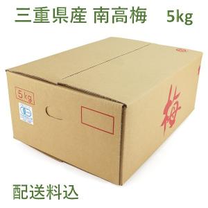 ＜予約商品＞ 三重県産 有機南高梅 【5kg】｜inageya-net