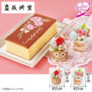 六花亭 の商品一覧 通販 Paypayモール