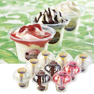 アイス 赤城 ガツン、とみかん 90ml×24本 熱中症対策 ギフト 誕生日