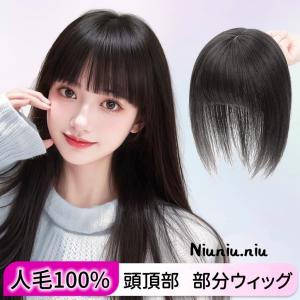 毛100％ 部分ウィッグ 自然 高品質 20cm  医療用 ボブ ヘアピース トップピース レディース 女性頭頂部 つむじ 分け目 白髪隠し 母の日 贈り物 プレゼント｜inaho1