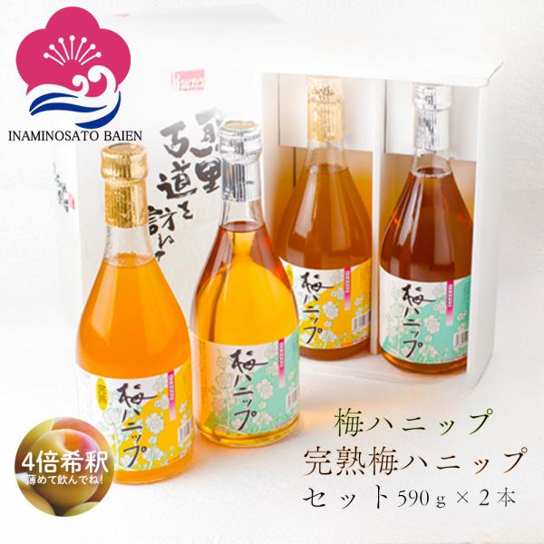 希釈用梅ドリンク 梅ジュース 梅ハニップセット 4倍希釈 590g 熱中症対策 夏バテ防止 美肌 美...