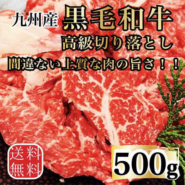 送料無料 九州産黒毛和牛切り落とし500g 九州から直送