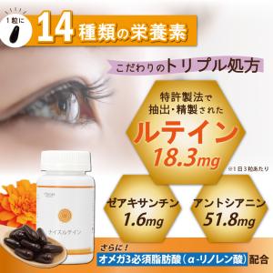 日本ベスト ラクトミニオンプレミアム 90ml (清涼飲料水) 乳酸菌生産