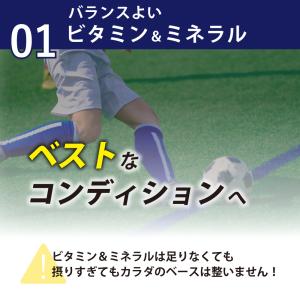 ビタミン ミネラル ナイアシン 酵素 ダイジェ...の詳細画像2