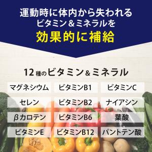ビタミン ミネラル ナイアシン 酵素 ダイジェ...の詳細画像3