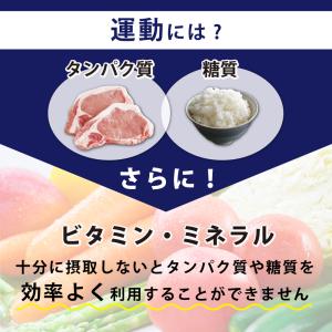 ビタミン ミネラル ナイアシン 酵素 ダイジェ...の詳細画像4