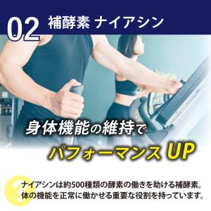 ビタミン ミネラル ナイアシン 酵素 ダイジェ...の詳細画像5