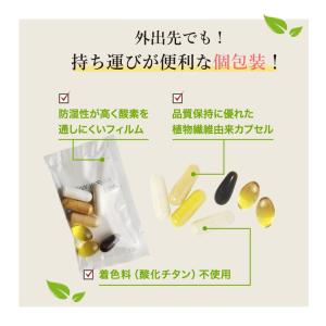 ビタミン ミネラル DHA EPA ルテイン ...の詳細画像3