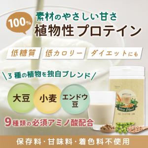 ソイプロテイン ダイエット 植物性 低糖質 低カロリー 無添加 味なし 無香料 無着色 タンパク質 プレーン プロテイン ナイスプラント （450g入り）｜inatura