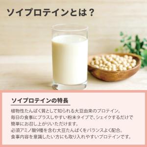 プロテイン チョコレート味 ソイプロテイン タ...の詳細画像4