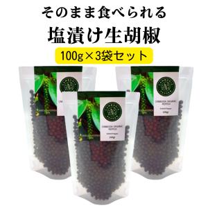 塩漬け胡椒 最高級カンボジア胡椒（ホール）生胡椒 塩漬け100g×3袋 日本法人の管理 自然栽培の安心安全なペッパー｜inb